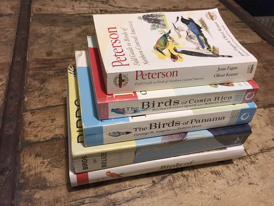 Review of Birds of Central America: size comparison of some Central America bird books