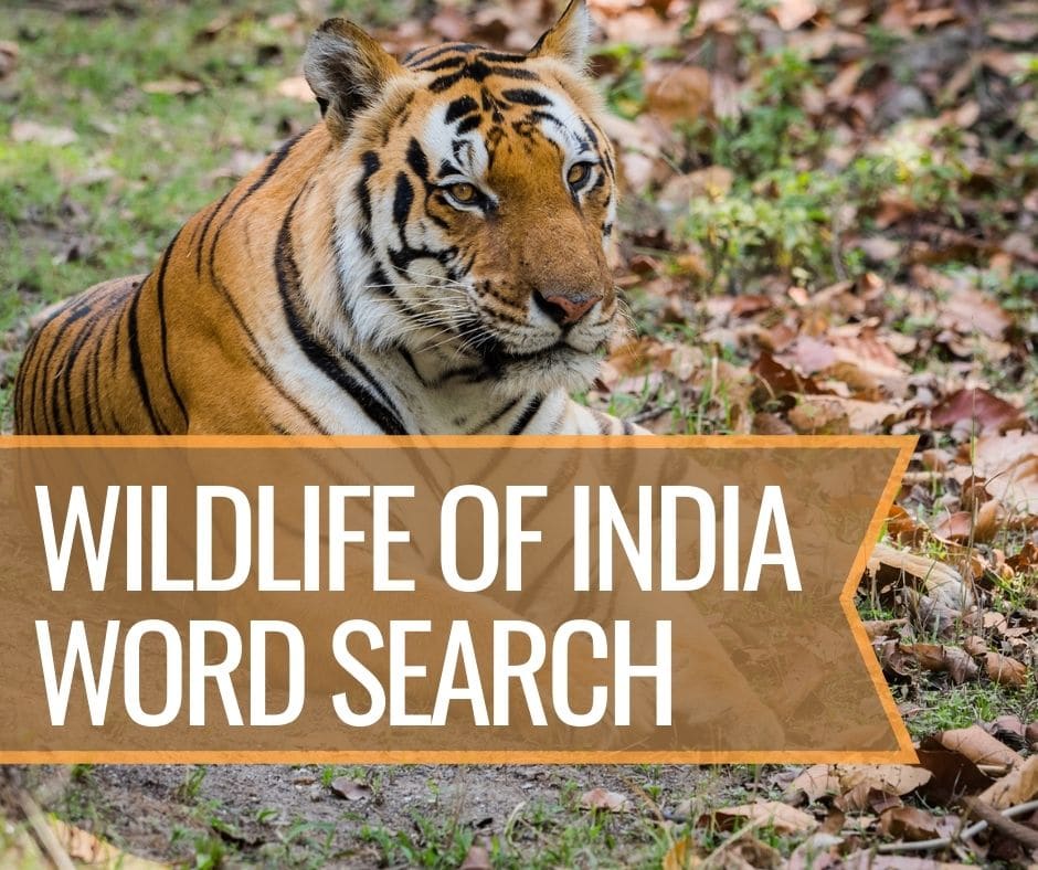 Wildlife of India Word Search