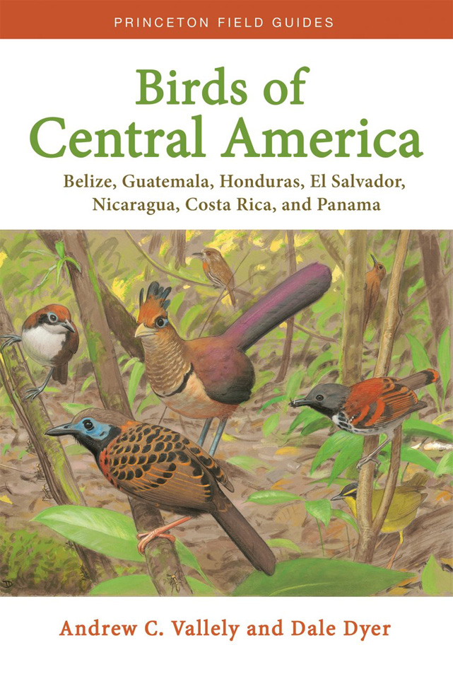 Birds of Central America Cover