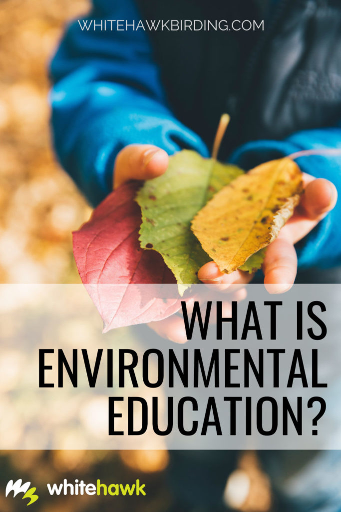 What Is Environmental Education? | Whitehawk Birding Blog