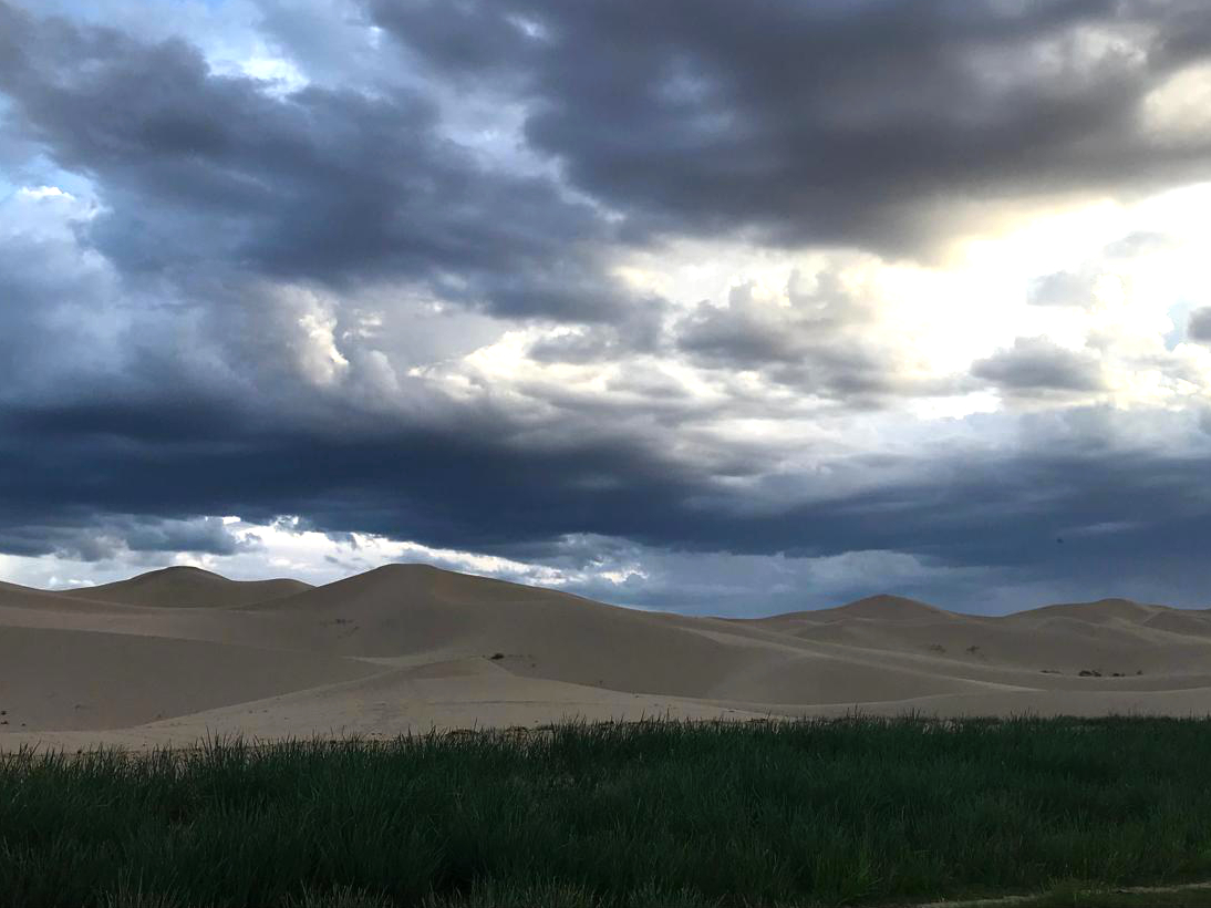 Khongor Sand Dunes Mongolia Gobi Whitehawk Birding